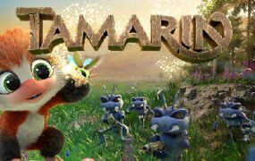 狨猴/Tamarin